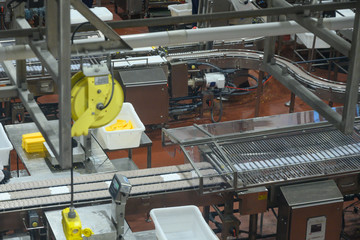 Milk production and factory, a large production of the United States. Cheeses, Milk, ice cream,...