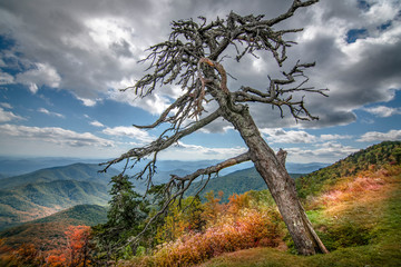 HDR from 5 different exposures of Fall foliage starting to show in Blue Ridge Parkway