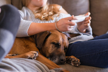 a dog sleeping on the sofa as teens playing video games