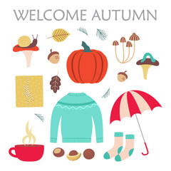 cute set with sweater and autumn elements