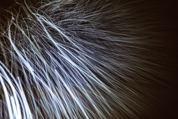 Long exposure night photo of winter heavy snow falls. The big snowflake shines in the strong light and look like long white strokes of painting. Snowfall of various intensity in Northern Sweden