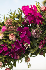 Blooming wedding arch decorations of purple orchid flowers and pink coral roses close up. Bright flowers background.