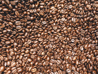 Fresh Roasted Coffee Beans Background from Small Farm in South America