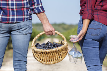 couple carrying a basket of grapes in vineyard