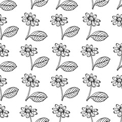 Vector flower black line pattern. Floral pattern, vector background. Decorative vector illustration, good for printing. Great for label, print, packaging, fabric.