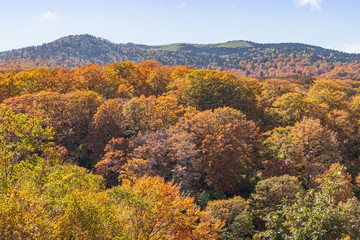 Towada Hachimantai National Park in early autumn