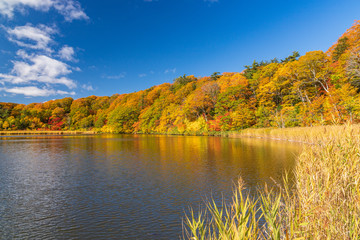 Towada Hachimantai National Park in early autumn