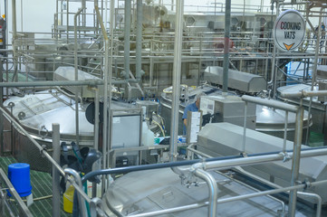 Plant and production of dairy products. Cheeses, milk.