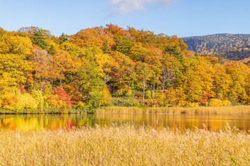 Towada Hachimantai National Park in early autumn