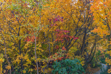 Towada Hachimantai National Park in early autumn