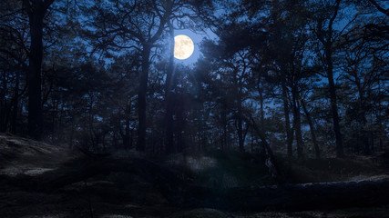 Full moon over a forest on the German Baltic Sea island Ruegen sends its light through the trees. In the foreground is a large tree trunk. - Powered by Adobe