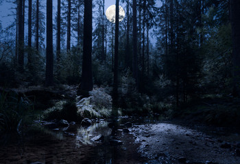 Moonlight in the forest. A creek in a forest in the middle of Germany. It is a autumn night.The full moon shines in the backlight in the forest and on the plants and the water. Very romantic.