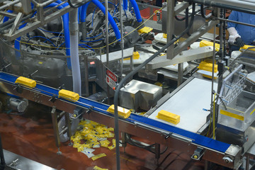 Production of dairy products. Plant, factory in operating mode. Automation of production, conveyors
