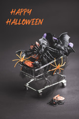 Halloween attributes spider, bat, mouse, fly in the supermarket trolley on the black background. Halloween card.