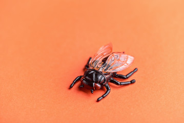 Fake housefly on the orange background. Halloween fly
