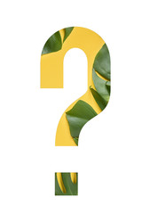 Tropical flower font symbol question made of real alive flowers monstera on white background with paper cut shape of letter. Collection of tropical flora font for your unique decoration in summer