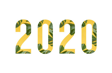 Tropical flower font number 2020 made of real alive flowers monstera on white background with paper cut shape of letter. Collection of tropical flora font for your unique decoration in summer