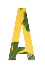 Tropical flower font Alphabet A made of real alive flowers monstera on yellow background with paper...