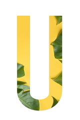Troipical flower font Alphabet M made of Real alive flowers monstera on yellow background with paper cut shape of letter. Collection of flora font for your unique decoration in summer