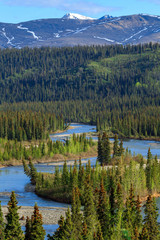 Winding Along the Spruce