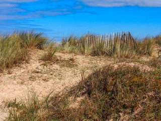 Fototapeta premium to the beach