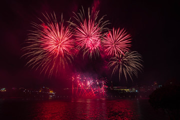 Fototapeta premium Fireworks against a dark sky