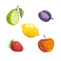 Vector illustration in the original style with fruit. Pear, apple, lemon, strawberry, and plum. It can be used for drawing on a tile or as a decor.