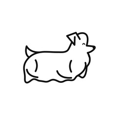 Isolated dog icon line vector design