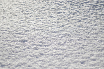Snow Texture