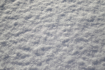 Snow Texture