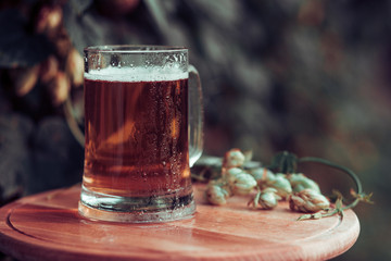 A glass of beer stands on a wooden table against the background of hops.