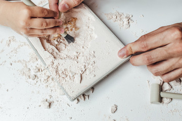 Father and son playing in the archaeological excavations. Hands close up © Ekaterina