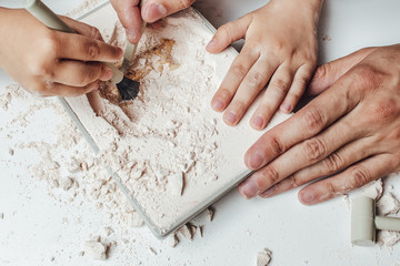 Skeleton and archaeological tools.Training for dig fossil.Simulated same as real digging. Archaeological tools, Archeaologist working on site, close-up, hand and tool. © Ekaterina