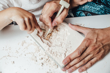 Skeleton and archaeological tools.Training for dig fossil.Simulated same as real digging. Archaeological tools, Archeaologist working on site, close-up, hand and tool.