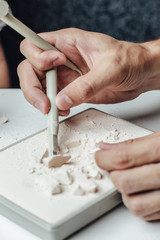 Skeleton and archaeological tools.Training for dig fossil.Simulated same as real digging. Archaeological tools, Archeaologist working on site, close-up, hand and tool.