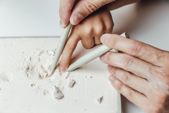 Skeleton and archaeological tools.Training for dig fossil.Simulated same as real digging. Archaeological tools, Archeaologist working on site, close-up, hand and tool.