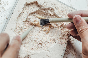 Skeleton and archaeological tools.Training for dig fossil.Simulated same as real digging....