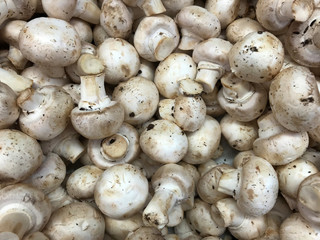 Mushrooms shot from above