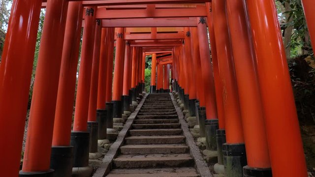 Many Torii gates Fushimi Inari Taisha religios center in Kyoto, row of tori gates