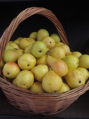 apples in a basket