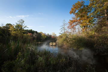 Fototapeta na wymiar mist on the river