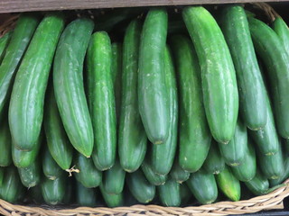 cucumbers for sale at farmers market