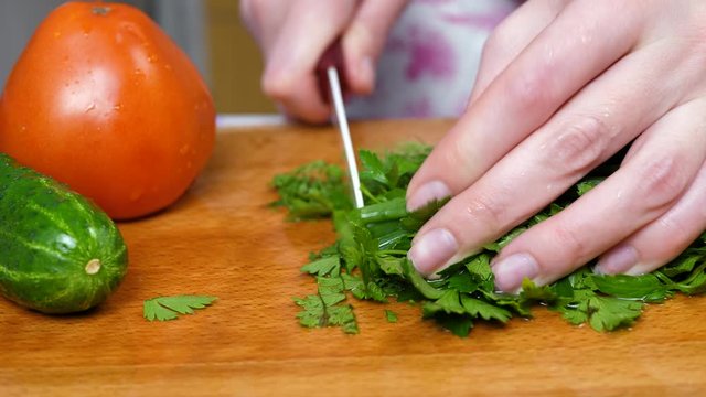 Female cook hand slicing onion and green parsley by knife on wooden chopping board with red tomato and cucumber background. Spring vitamin salad set of various green leafy vegetables on kitchen table
