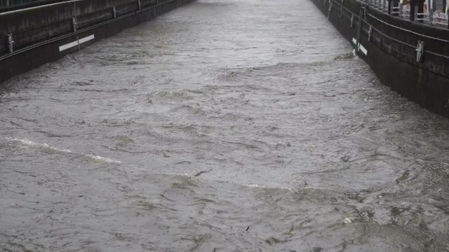 豪雨　河川　2019年　台風19号　東京　神田川　4K　音声有