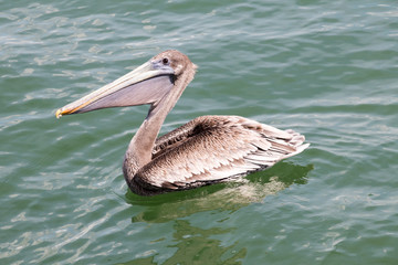 Florida's Sanibel Island