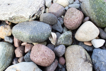 Fototapeta na wymiar 海岸の石