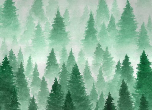 Hand drawn watercolor illustration. Landscape of cloudy, mystic , coniferous forest on ye mountaind. © Юлия Гришина