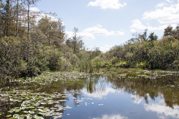 Everglades National Park - Loop Rh