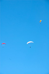 Three Hang Gliders Soaring Through the Air