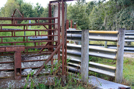 Antique cattle shute on farm
